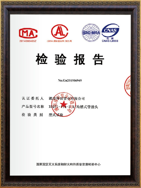 檢驗報告