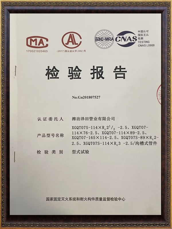 檢驗(yàn)報(bào)告